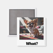 Boze chihuahua magneet (Voorkant / Achterkant)