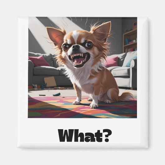 Boze chihuahua magneet (Voorkant)