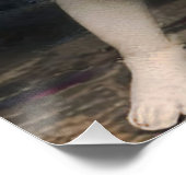 Boze Cupido Perfect Poster (Hoek)