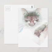 Boze Cute Cate Gezicht Schets Briefkaart (Voorkant / Achterkant)