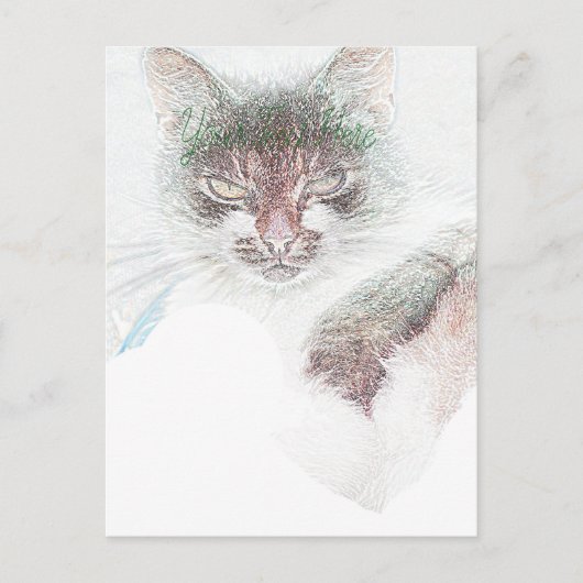 Boze Cute Cate Gezicht Schets Briefkaart (Voorkant)