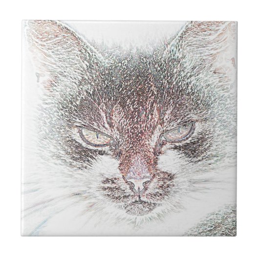 Boze Cute Cate Gezicht Schets Tegeltje (Voorkant)