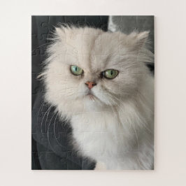 Boze Kat Grappig Huisdier Legpuzzel