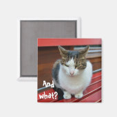 Boze kat magneet (Voorkant / Achterkant)