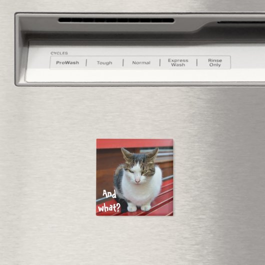 Boze kat magneet (Insitu (Vaatwasser))