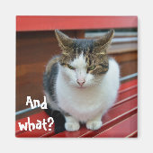 Boze kat magneet (Voorkant)