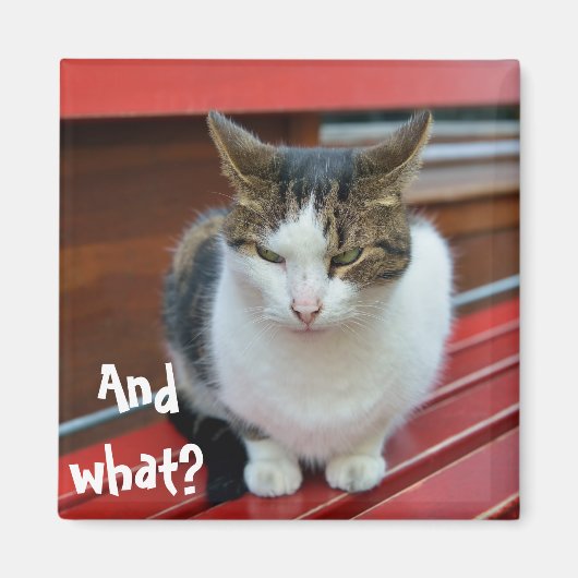 Boze kat magneet (Voorkant)