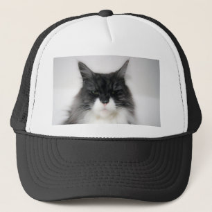 boze kat trucker pet