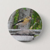 Boze uitziende vogel ronde button 5,7 cm (Voorkant)