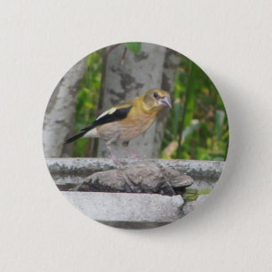 Boze uitziende vogel ronde button 5,7 cm