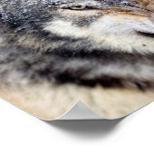 boze wolf poster (Hoek)