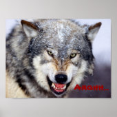 boze wolf poster (Voorkant)