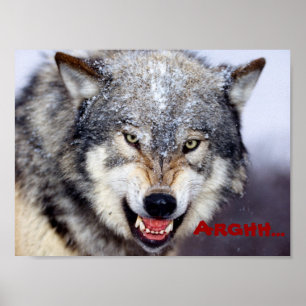 boze wolf poster