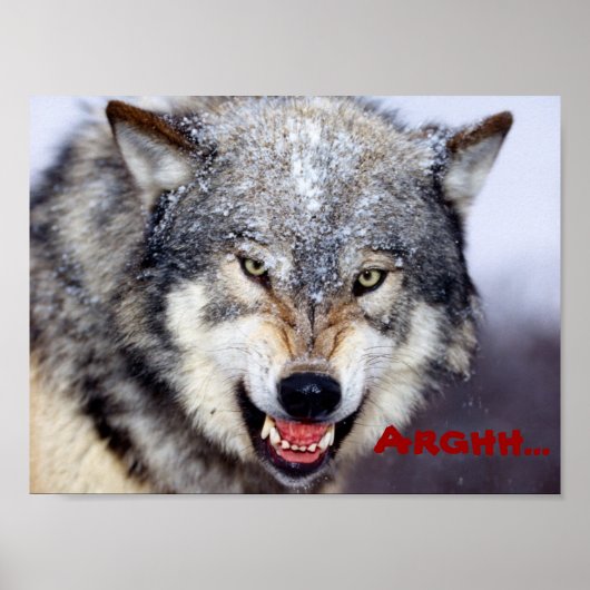 boze wolf poster (Voorkant)