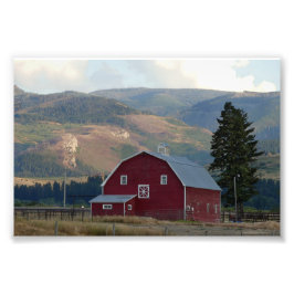 Bozeman, Montana, Barn Foto Afdruk