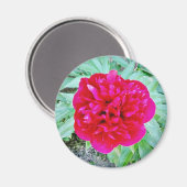 Bozur Magneet (Voorkant / Achterkant)