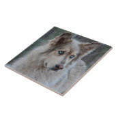 Bozworth de Malamutt Tegeltje (Zijkant)