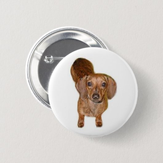 br. dachshund ronde button 5,7 cm (Voorkant /achterkant)