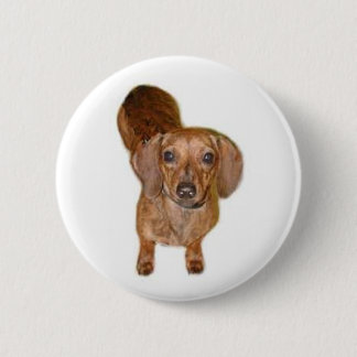 br. dachshund ronde button 5,7 cm