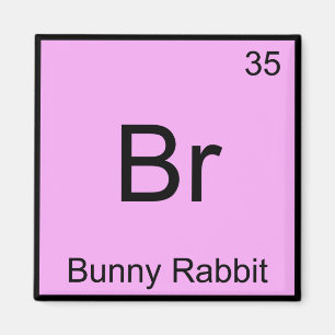 Br - Konijn Konijn Grappig Chemie Elementsymbool T Magneet