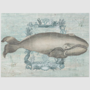  braadvis Blauw hout Ontvlechting Tissuepapier