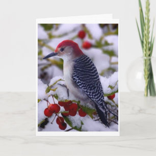 BRAAK VAN TWEEDE TOT ZEGGENDE GEBEURTENIS OP DE BI KAART