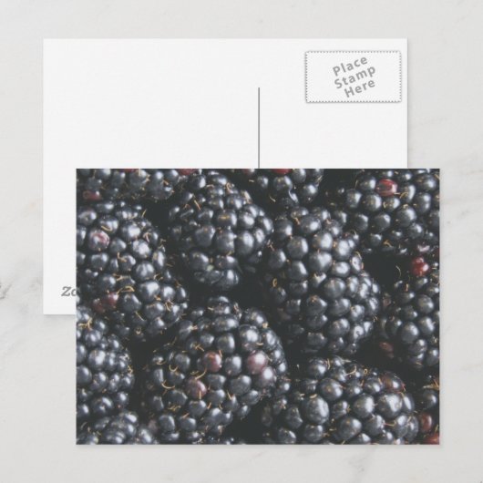 Braambessen Briefkaart (Voorkant / Achterkant)