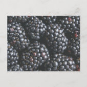 Braambessen Briefkaart (Voorkant)