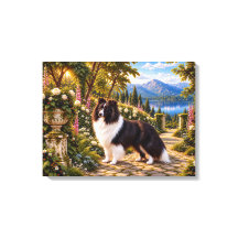 Braambessen, Shetland Sheepdog