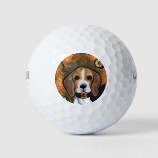 Brabanderse jachthond      golfballen (Voorkant)