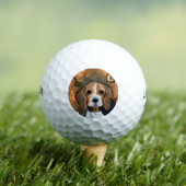 Brabanderse jachthond      golfballen (Insitu Shirt)