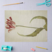 Brabantson Tulip van Judith Leyster Tissuepapier (Craft)
