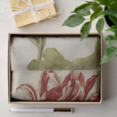 Brabantson Tulip van Judith Leyster Tissuepapier (Geschenk)