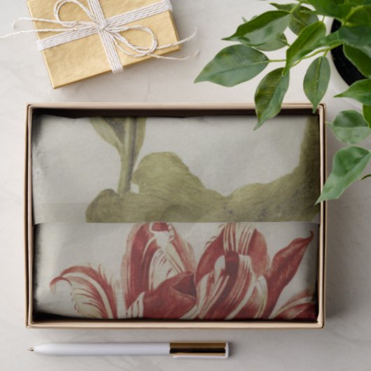 Brabantson Tulip van Judith Leyster Tissuepapier (Geschenk)