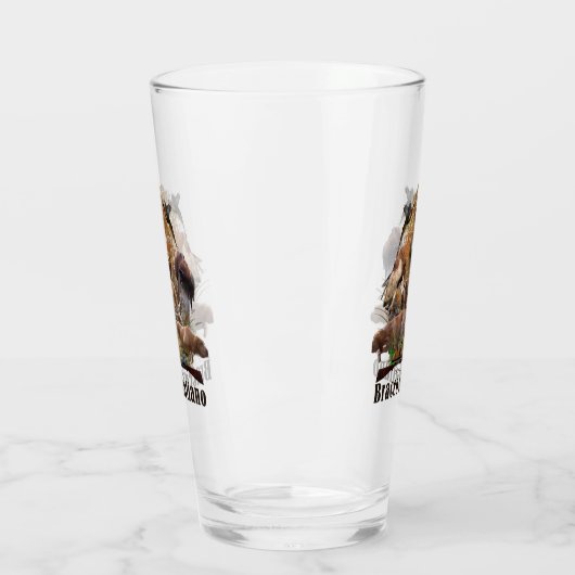 Bracco Italiano Glas (Links)