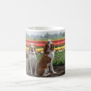 Bracco_italiano group.png koffiemok