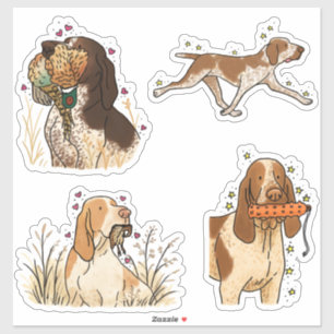 Bracco Italiano Jacht Auto Sticker