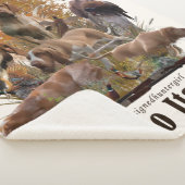 Bracco italiano sherpa deken (3/4)