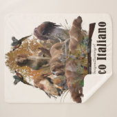Bracco italiano sherpa deken (Voorkant (horizontaal))