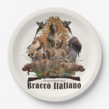 Bracco italiano sherpa deken