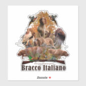 Bracco Italiano Sticker (Vel)
