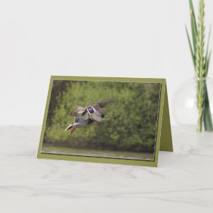 Brace of Ducks Card Kaart