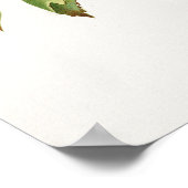 Brachetto druif Giorgio Gallesio Poster (Hoek)