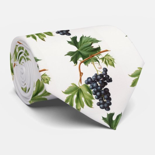 Brachetto-druiven van de Stropdas Giorgio Gallesio (Opgerold)