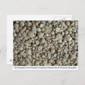 Brachiopod fossielen van de Wenlock-kalksteen Briefkaart (Voorkant / Achterkant)