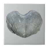 Brachiopod Heart Tegeltje (Voorkant)