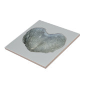 Brachiopod Heart Tegeltje (Zijkant)