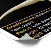 Brachiosaurus - Biologie Juratijdperk Poster (Hoek)