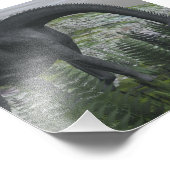 Brachiosaurus dinosaur die fern-3D eet Foto Afdruk (Hoek)