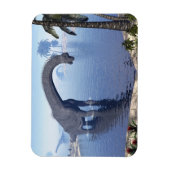 Brachiosaurus dinosaurus in water - 3D render Magneet (Verticaal)